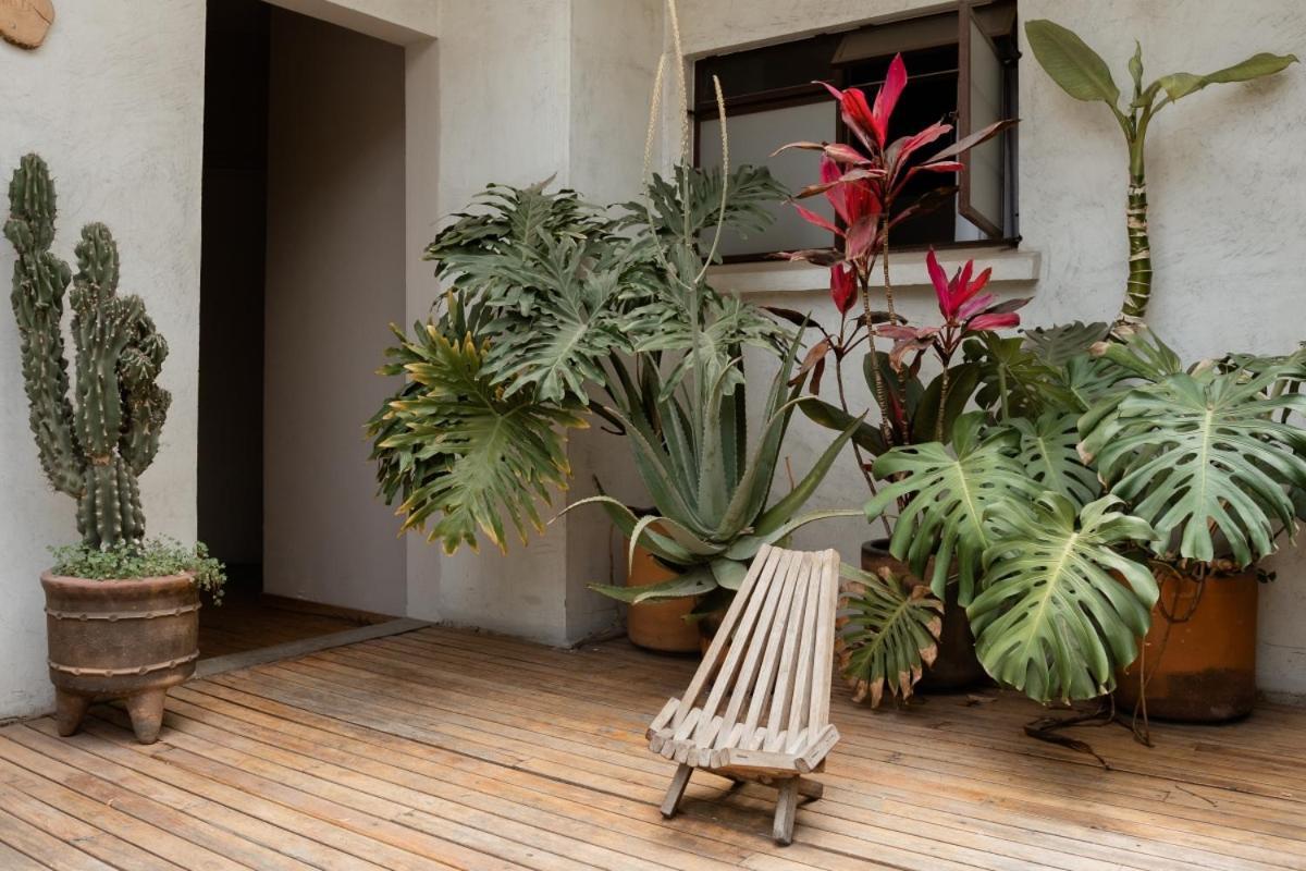 Casa Lomah Hotel Мехико Экстерьер фото